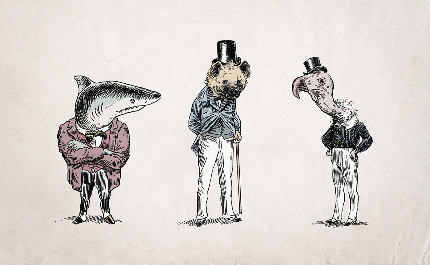 digital chimaeras animal bankers illustration animaux banquiers art direction frappa